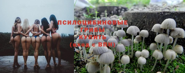 амфетамин Алексеевка